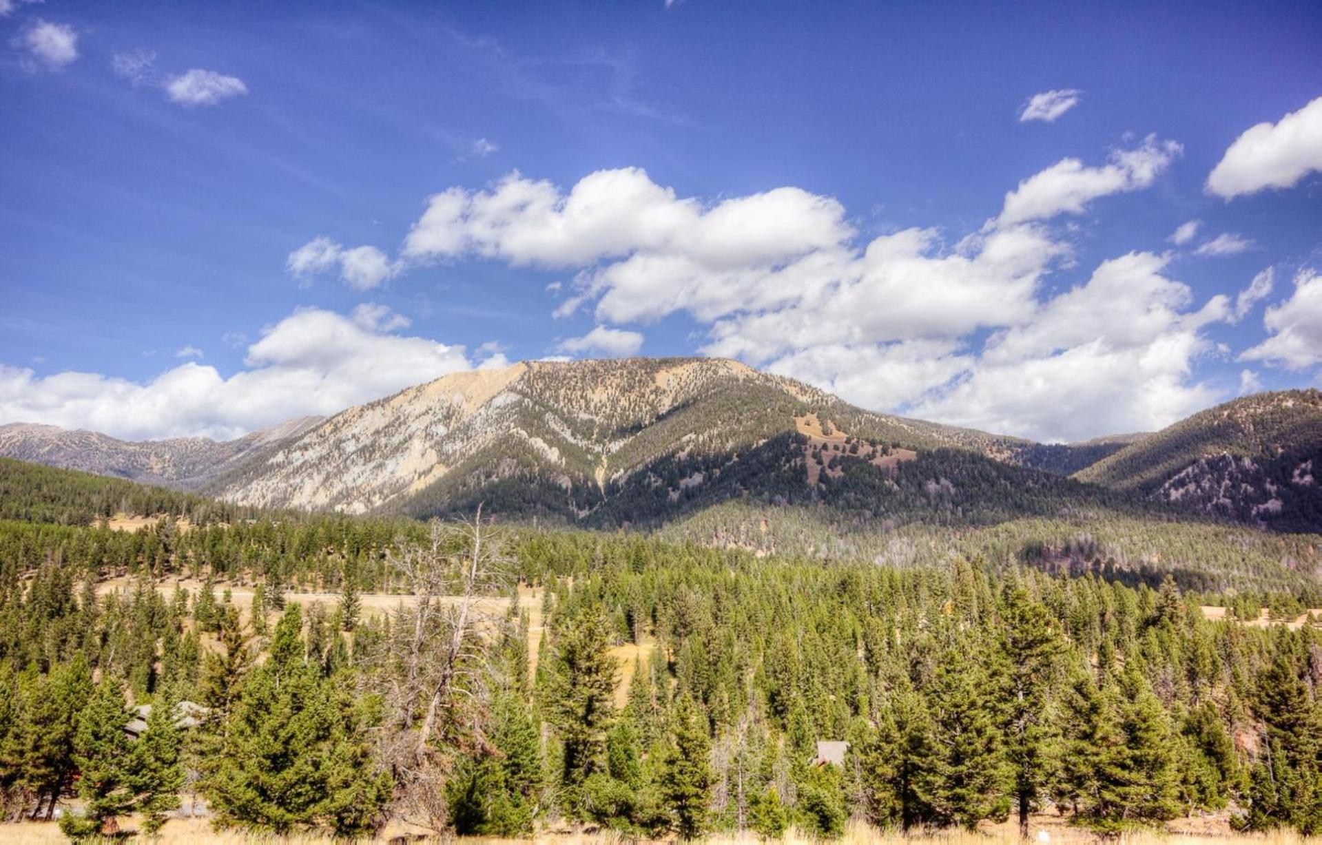 Antler Ridge Lodge Big Sky Room photo